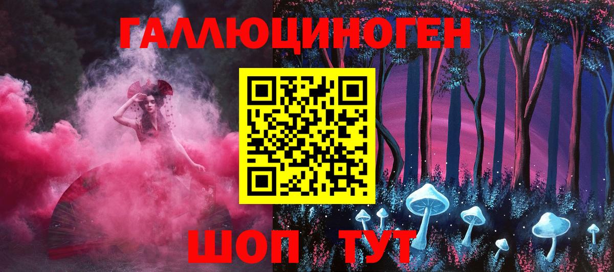 Галлюциногенные грибы Cubensis Осинники