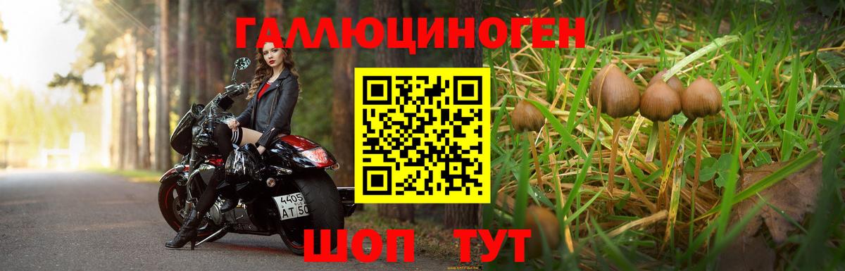 Галлюциногенные грибы Magic Shrooms  Псилоцибиновые грибы Magic Shrooms  Вход с VPN  Осинники 